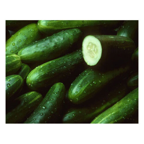 Cucumber – Each
