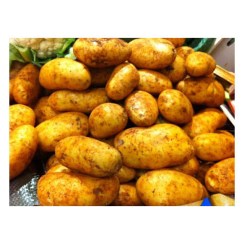 Cyprus Potatoes – 500g