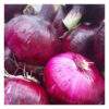 Red Onion - 500g