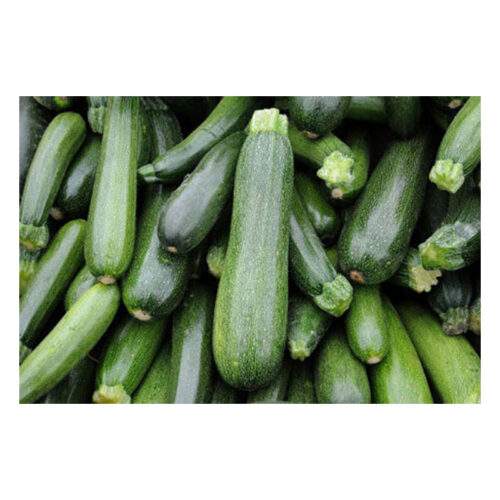 Courgette – 500g