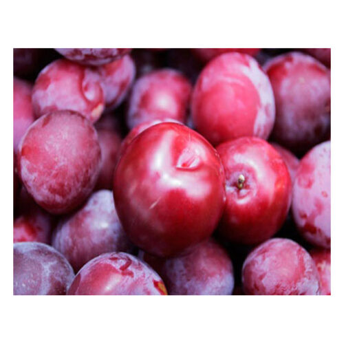 Red Plum – 500g