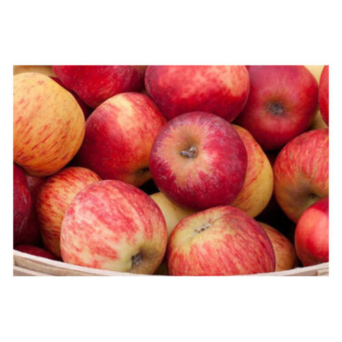 Royal Gala – Per 500g