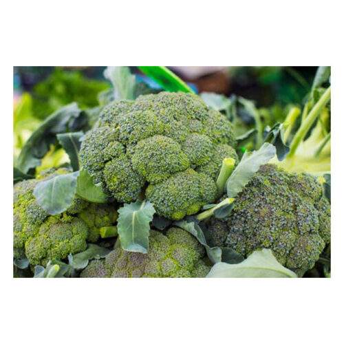 Broccoli – Per 500G