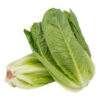 Cos Lettuce - Each