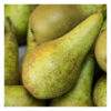 Conference Pears - 500g