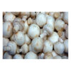 Fresh Mushroom 500G