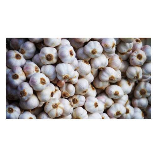 Garlic – 350 grams