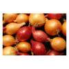 Baby Onion - 500g