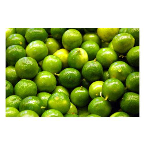 Lime – 6 ON OFFER