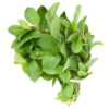 Mint Bunch -2- for £2.79 (On Offer)