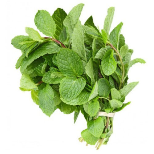 Mint Bunch -2- for £2.79 (On Offer)