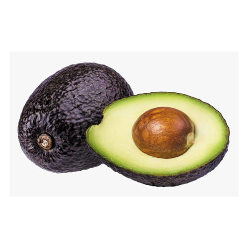 Black Avocado – Each