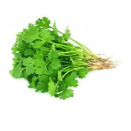 Coriander Leaves – A bunch