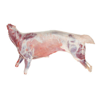 Whole Lamb – (Approximately 12-13 Kg)