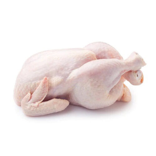 Baby Chicken – Each