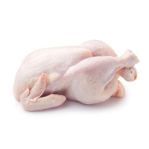 Baby Chicken - Each