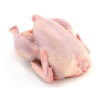 Roaster Chicken - Each