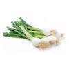 Spring Onion -( 2 On Offer)