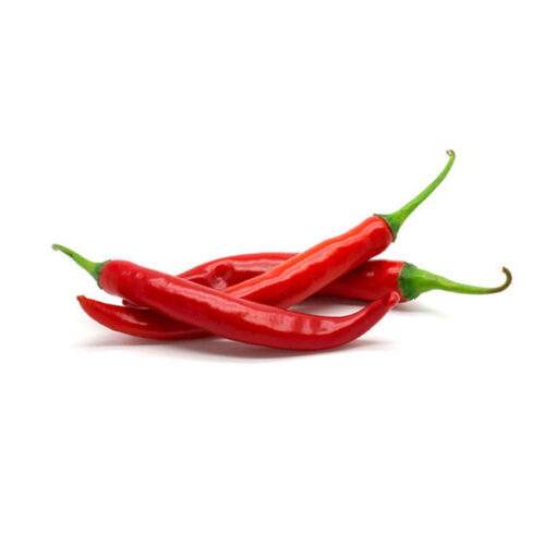FRESH LONG Red Chilli – 500g