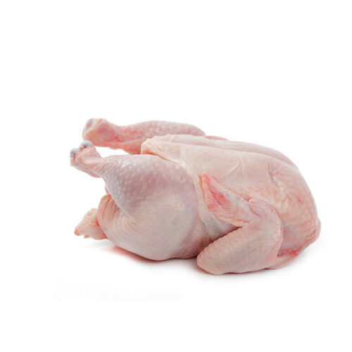 3 Baby Chicken (OFFER ITEM )