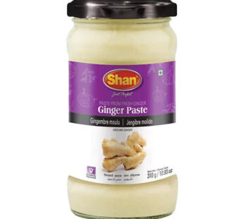 Shan Ginger Paste – 310g