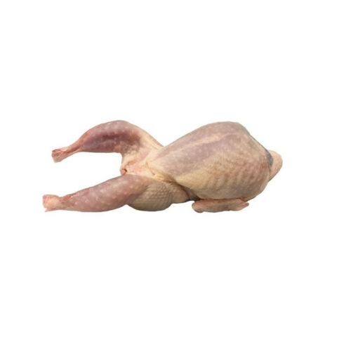 FRESH WHOLE HARD/BOILER CHICKEN (900g-1100g)