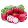 RADISH -EACH BUNCH