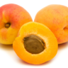APRICOT-500Gf