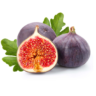 FIGS( 2pics on offer)