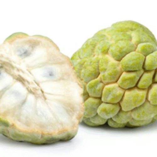 CUSTARD APPLE LEB.    ( 400-500g)
