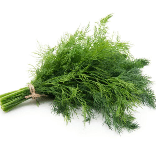 BUNCH FRESH DILL-EACH