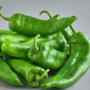GREEN LONG PEPPER (CAPIA)-500g