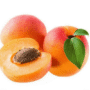 FRESH TURKISH APRICOT-500g