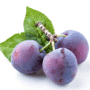 PRESIDENT PLUMS-500g