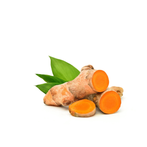 FRESH YELLOW TURMERIC-100g